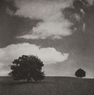 Two Trees, Herrliberg, Switzerland