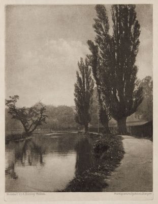 On the Banks of the Wey