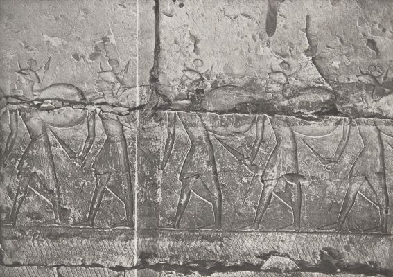 31 Abydos Temple de Ramsès