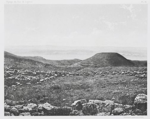 PL. 36 Mkaur: Machœrus