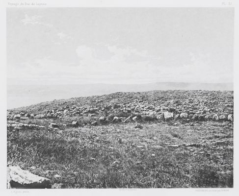 PL. 37 Mkaur: Machœrus