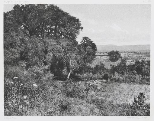 PL. 60 Sommet de Tell-El-Kady