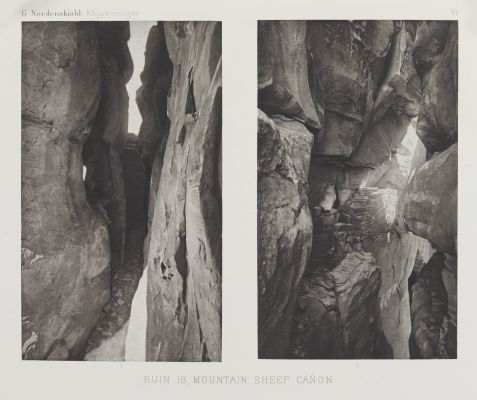 Mountain Sheep Canyon