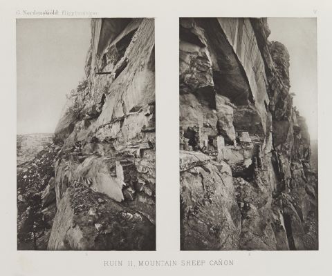 Mountain Sheep Canyon