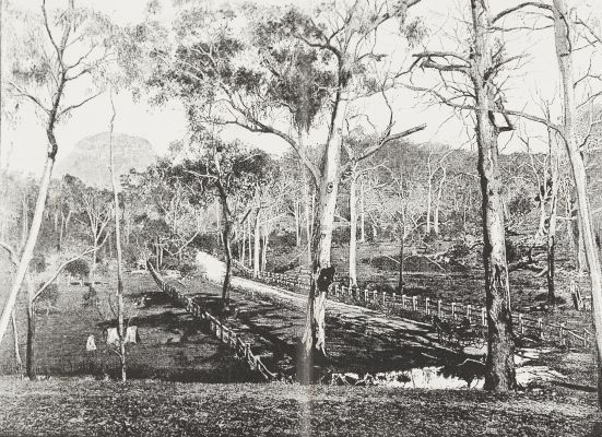 Une route dans le Bush