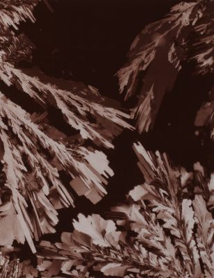 Panche V Acide citrique