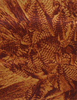 Planche XII Acide margarique