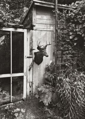 Deer Door