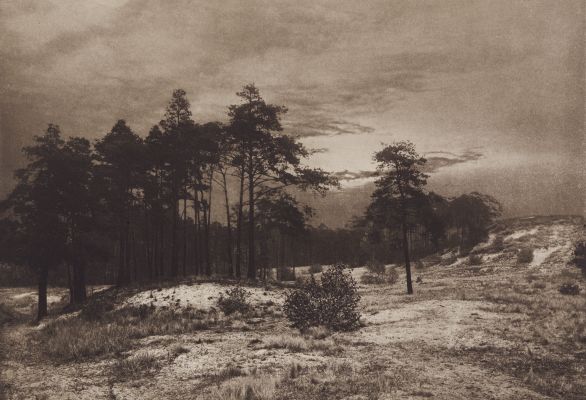 Märkische Heide
