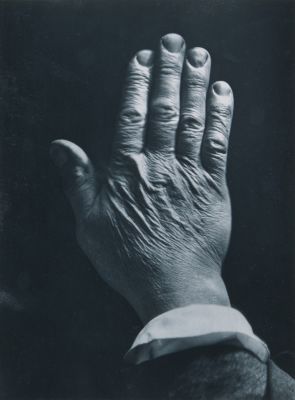 Back of Hand to Illustrate the Origin of Certain Mountain Ranges Resulting from Shrinkage of the Interior