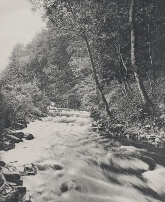 26. Bagnoles — Un Coin du Parc de l’Établissement Thermal