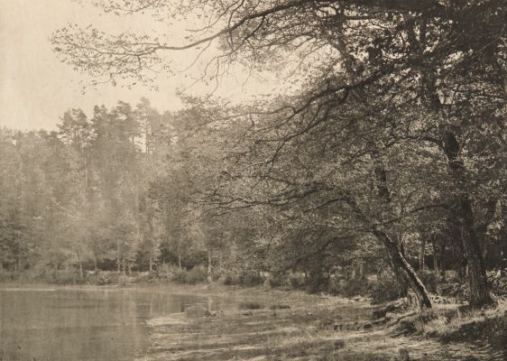 L’Etang de Gouillé
