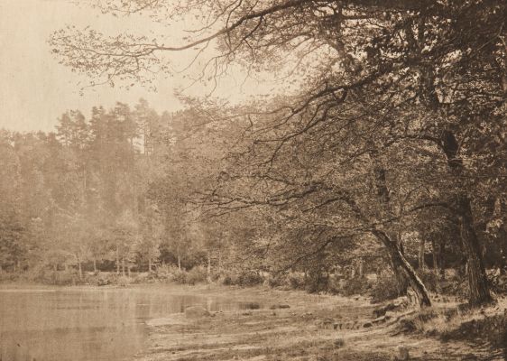 L’Etang de Gouillé (alt)