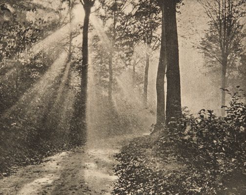 Matinée d’automne