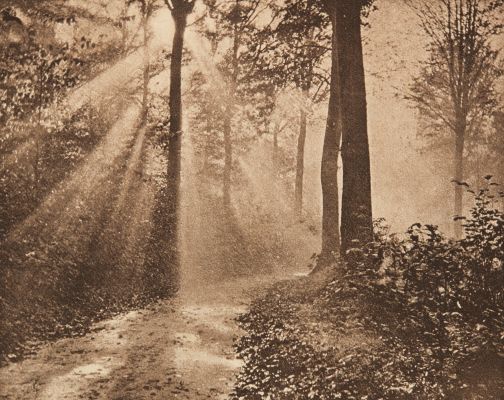 Matinée d’automne (alt)