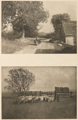 Diptych: Retour des Champs & Changement de Paturage