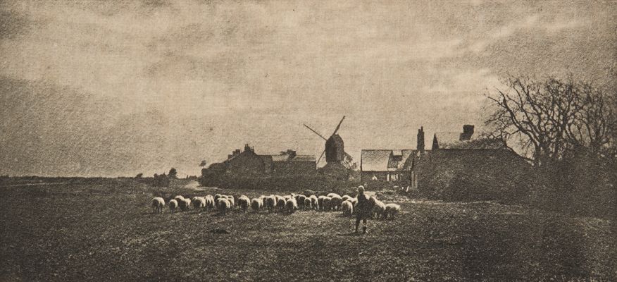 Le Retour du Troupeau