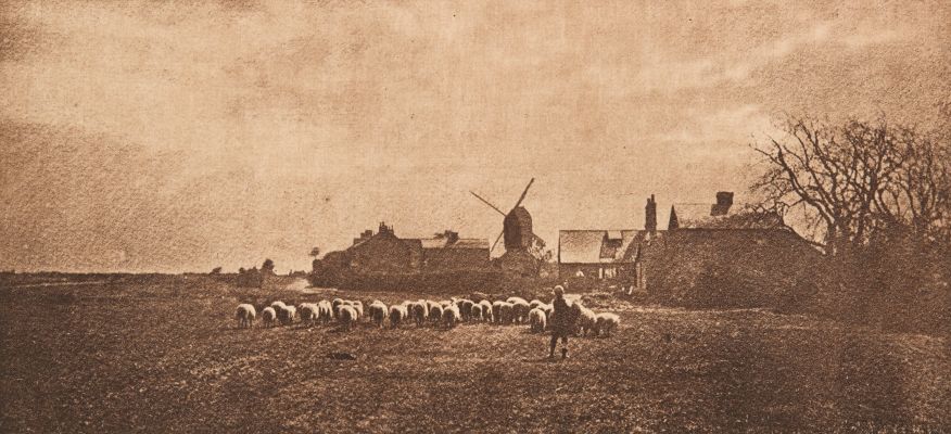 Le Retour du Troupeau (alt)