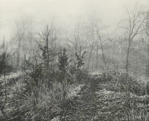 Givre et Brouillard