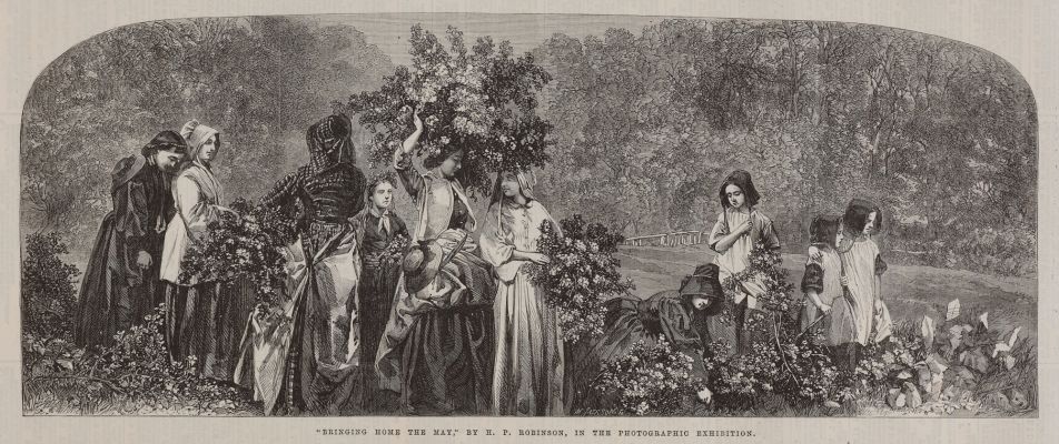 Bringing Home the May