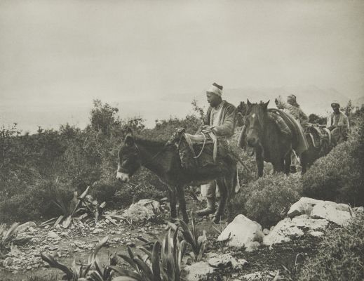 Holzkohlenhändler Bei Porto Sevedo (Kleinasien).