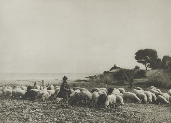 Am Cap Martin (Riviera).