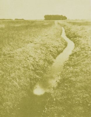 Photograph of Friedrich Behrens in Posen