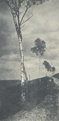 Aufnahme von Dr. Ed. Arning in Hamburg