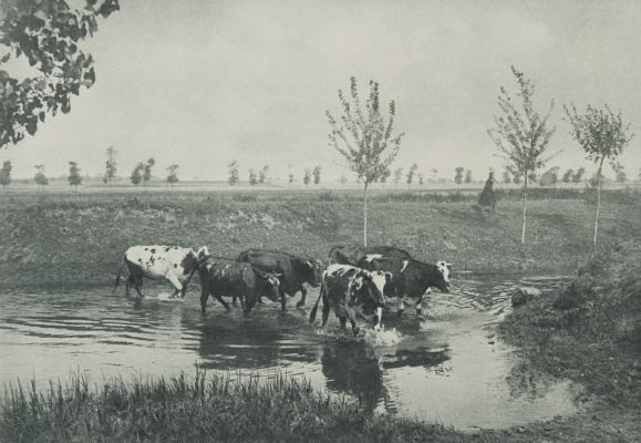 Aufnahme von M. Bucquet in Paris