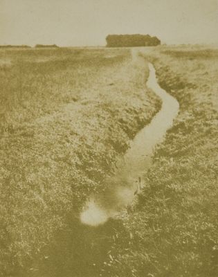 Aufnahme von Friedrich Behrens in Posen