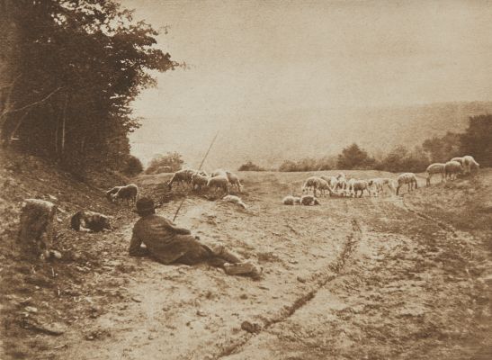 La Canche, Côte D’Or