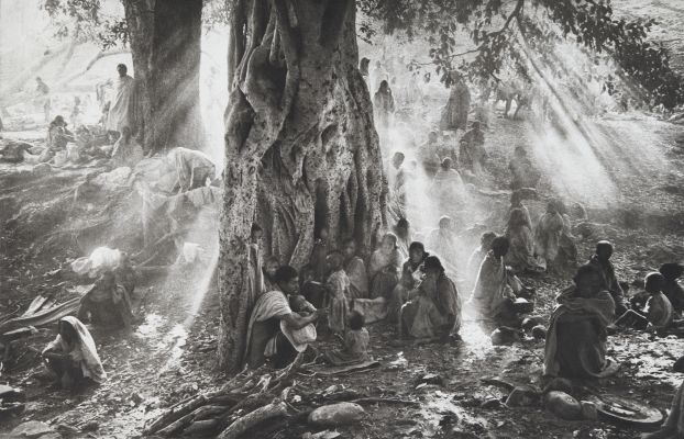 Tigray Exodus, Kalema Camp (West of Tigray, Ethiopia