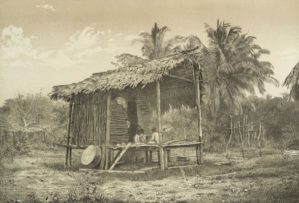 Native Hut, Near Turbo Gulf of Darien.