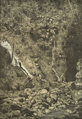 Falls of Quebrada del Mar, Limon Bay.