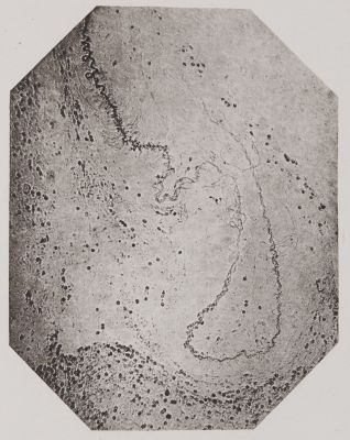 Pl. XVI