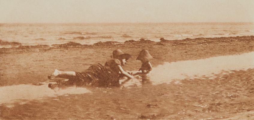 Mushrooms by the Sea