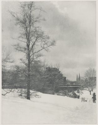 A Winter Sky – Central Park