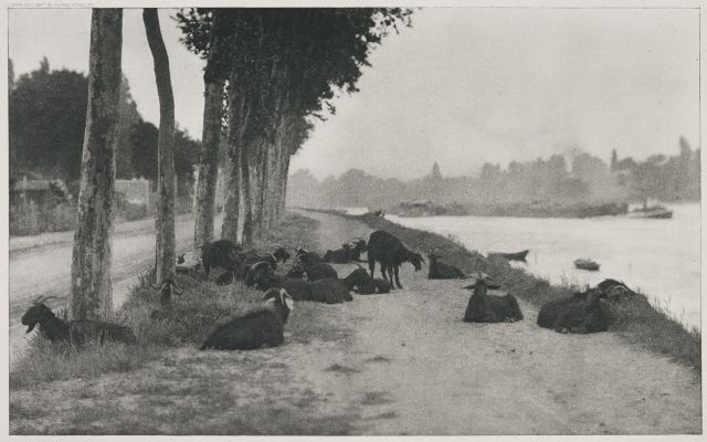 On the Sien