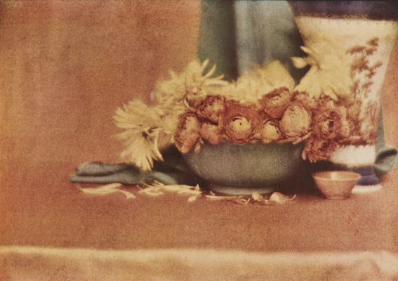 Still Life from an Autochrome