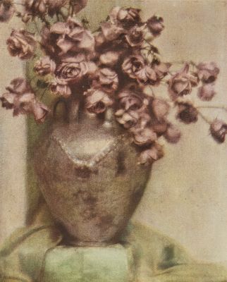 Still Life from an Autochrome
