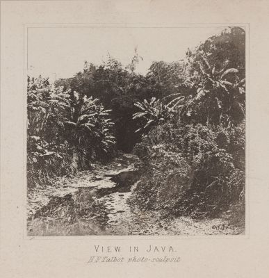 View in Java