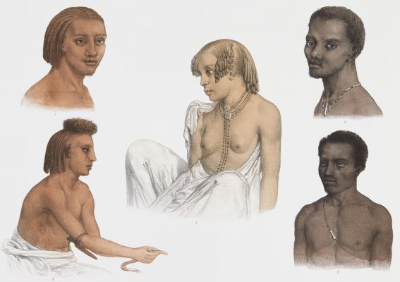 Pl. 29 Types de Figures de Diverses Contrées