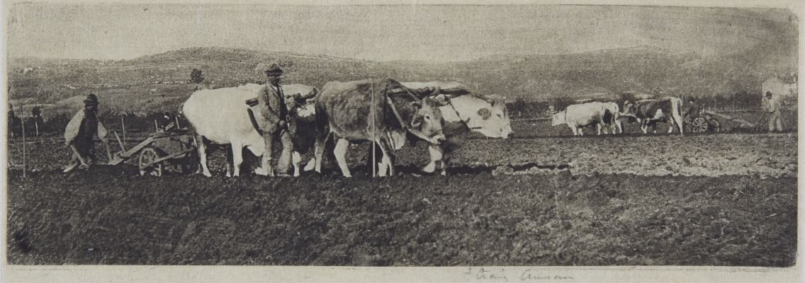 Ploughing on the Campagnetta