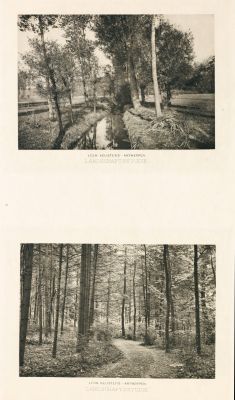 Diptych: Landschaftsstudie & Landschaftsstudie