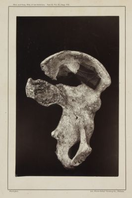 The Medical and Surgical History of the War of the Rebellion Part II Volume II