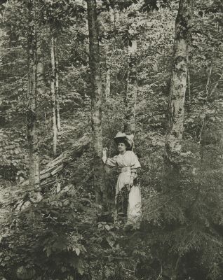 In the Woods