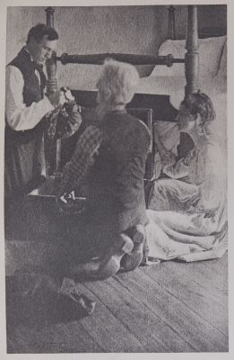 The old skin covered trunk