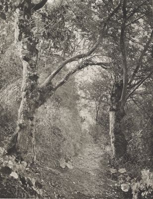 “When We Were Boys”