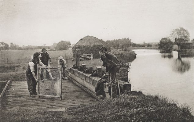 Setting the Eel Nets at Charlecote Mill