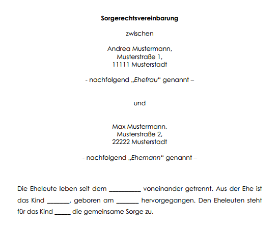 Auszug aus der Sorgerechtsvereinbarung (Informationspflicht).